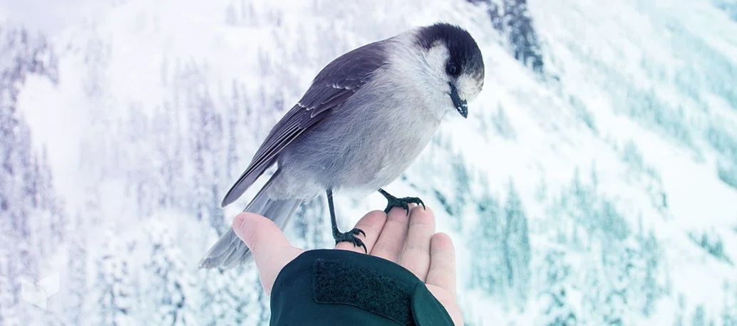 Viajar tras una pérdida